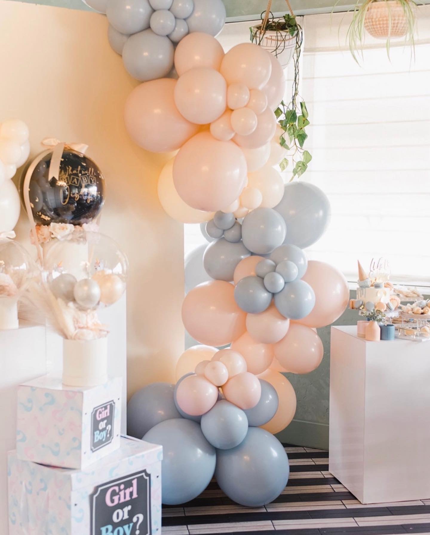 DELUXE No Mess Gender Reveal Balloon (XLarge)